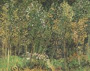 Vincent Van Gogh, The Grove (nn04)